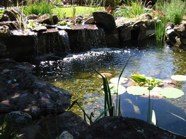 iazuri - garden-waterfalls.jpeg